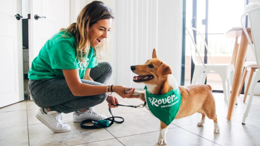 Rover.com Review 2025: Pros and Cons